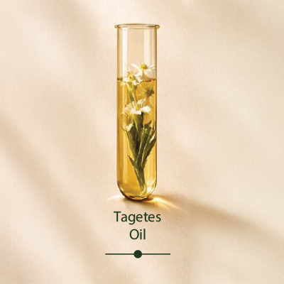 Tagetes Oil