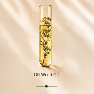 Dill Weed Oil
