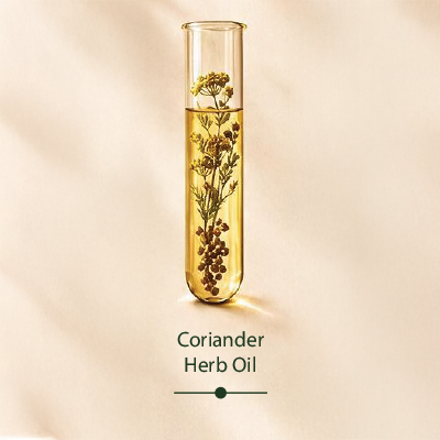 Coriander Herb Oil