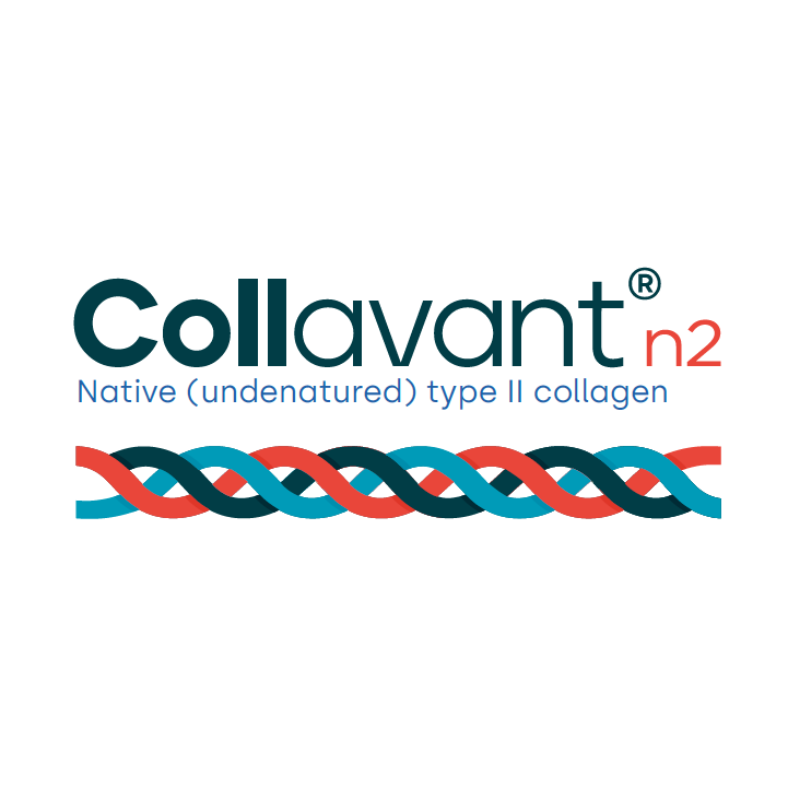 Collavant® n2. Native (undenatured) type II collagen