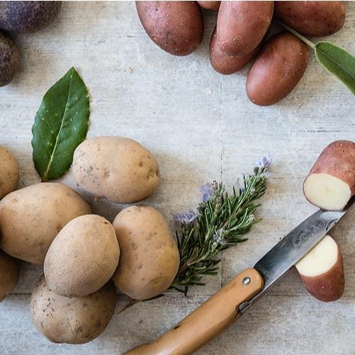Organic Food Potatoes