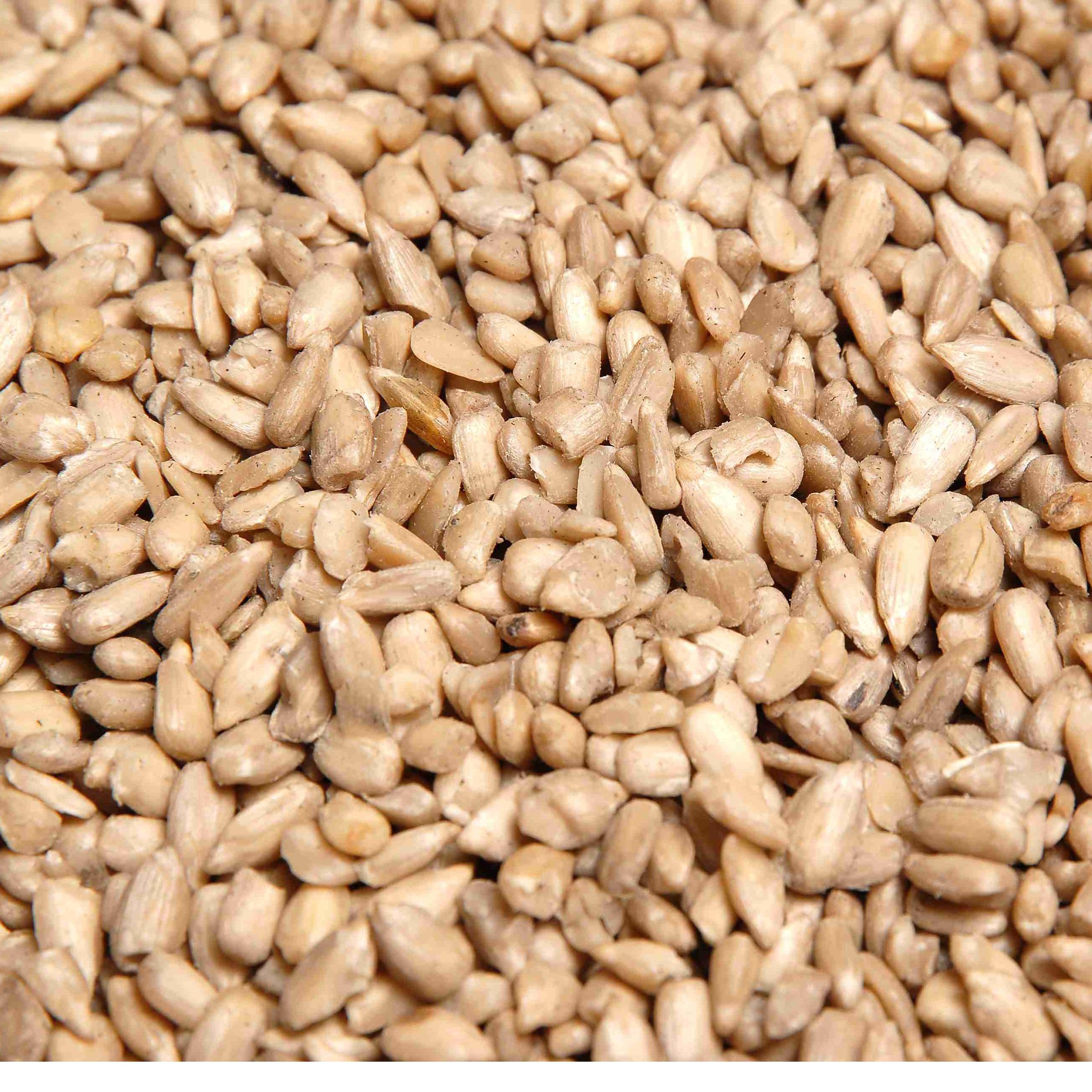 SUNFLOWER KERNELS