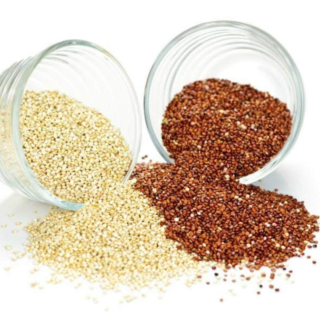 Quinoa Seed