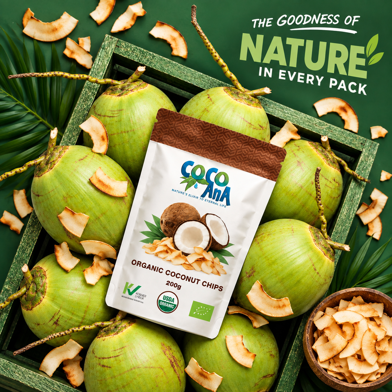 Coconut Chips