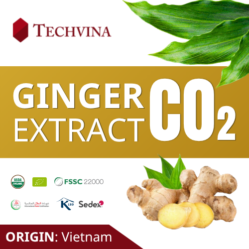 GINGER CO2 EXTRACT