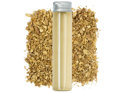 Fermented Ginger