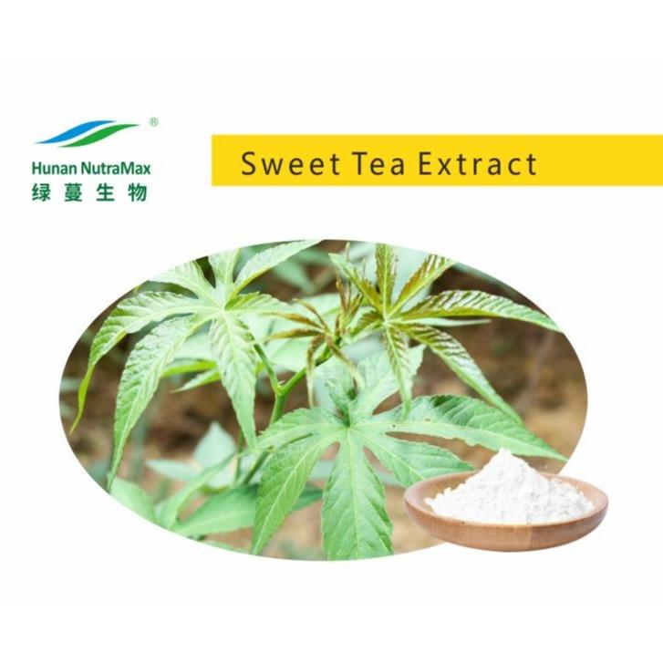 Sweet Blackberry Leaves Extract / Sweet Tea Extract