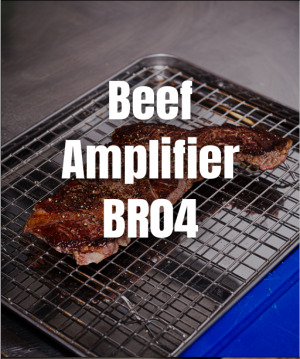 Beef Amplifier BR04