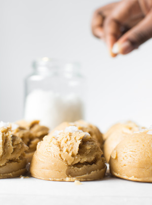 NI - SPECIALTY MILK POWDERS