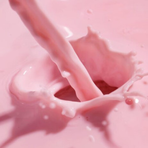 DI - WHEY & PERMEATE POWDERS