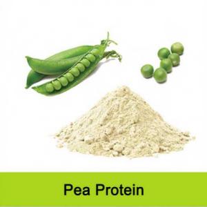 Organic Pea Protein