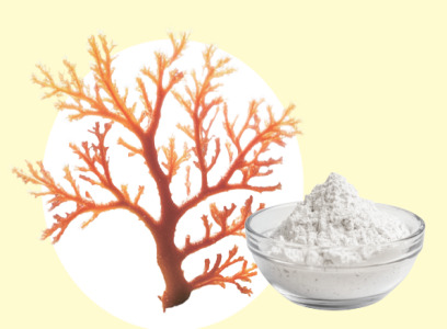 Carrageenan