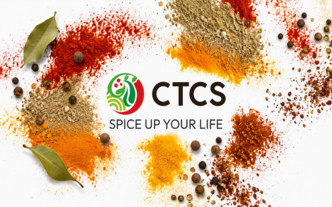 https://portfolio.ctcs.de/