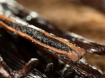 Madagascar Vanilla beans