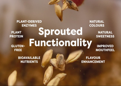 SPROUTED FUNCTIONALITY