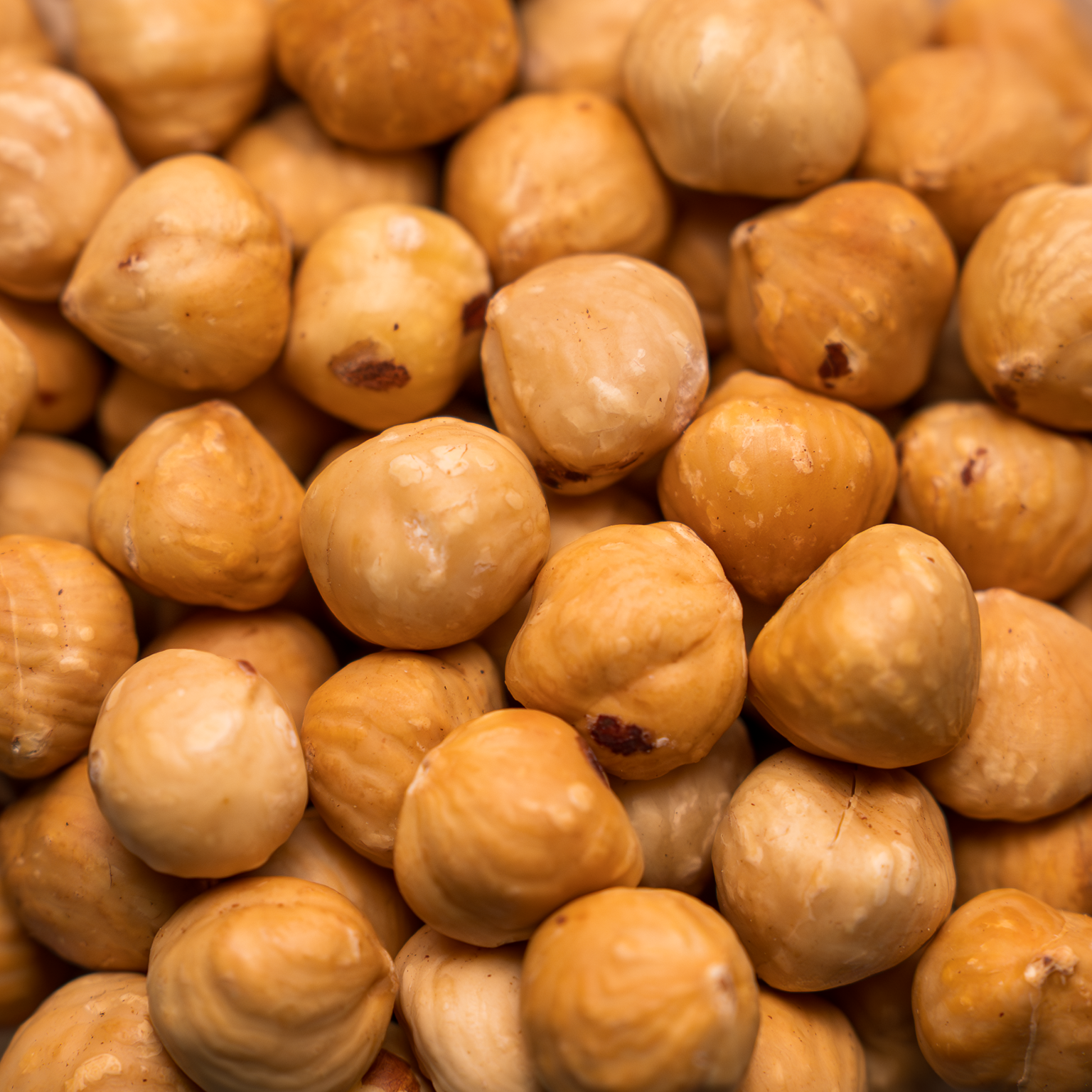 Roasted Blanched Oregon Hazelnut Kernels