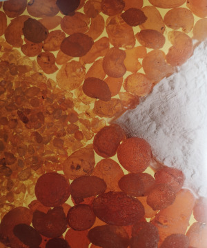 Gum Arabic
