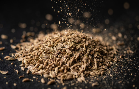 ANISEED