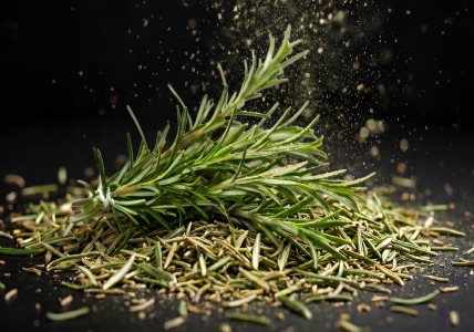ROSEMARY