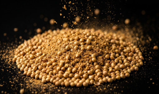 CORIANDER