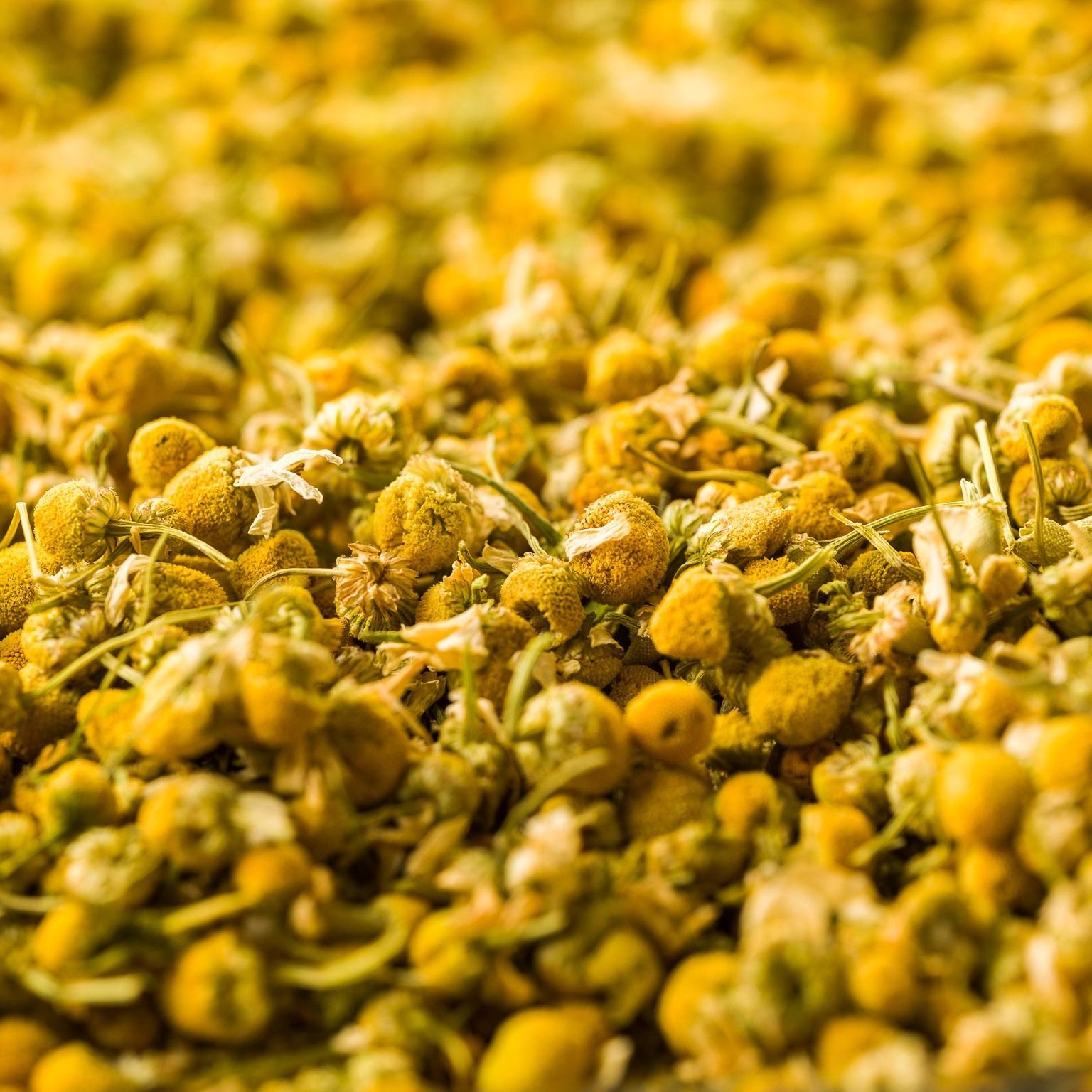 Phytopharmaceuticals & Extracts