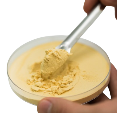 Acerola Extract Powder