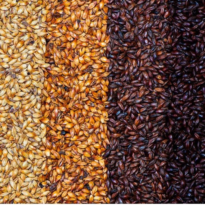 Special Malts