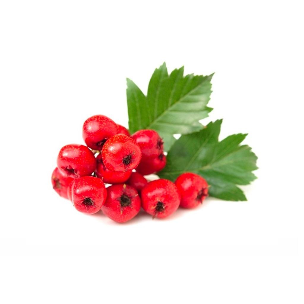 Hawthorn