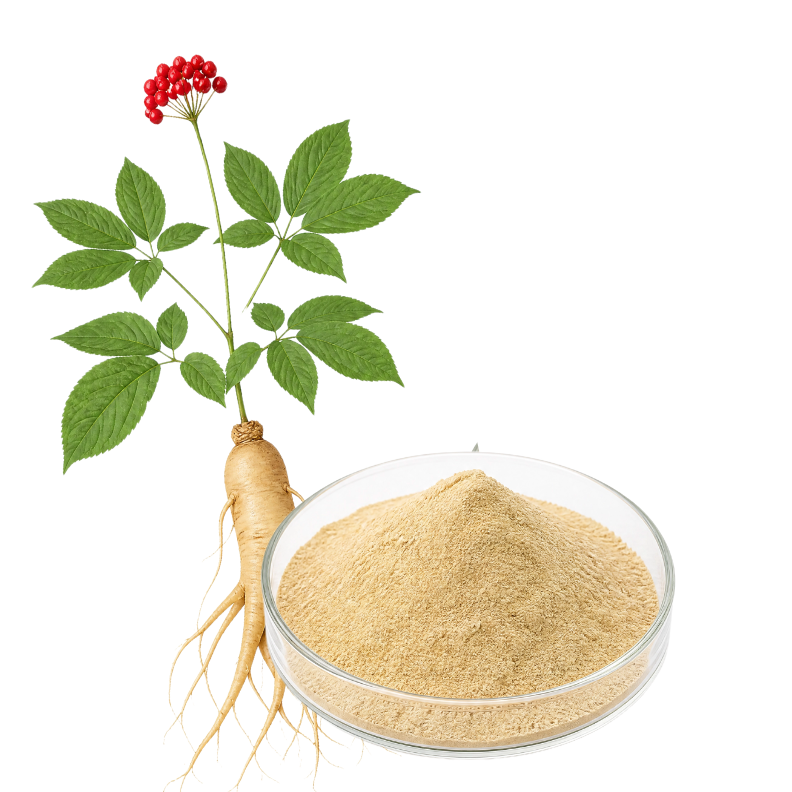 AMERICAN GINSENG EXTRACT