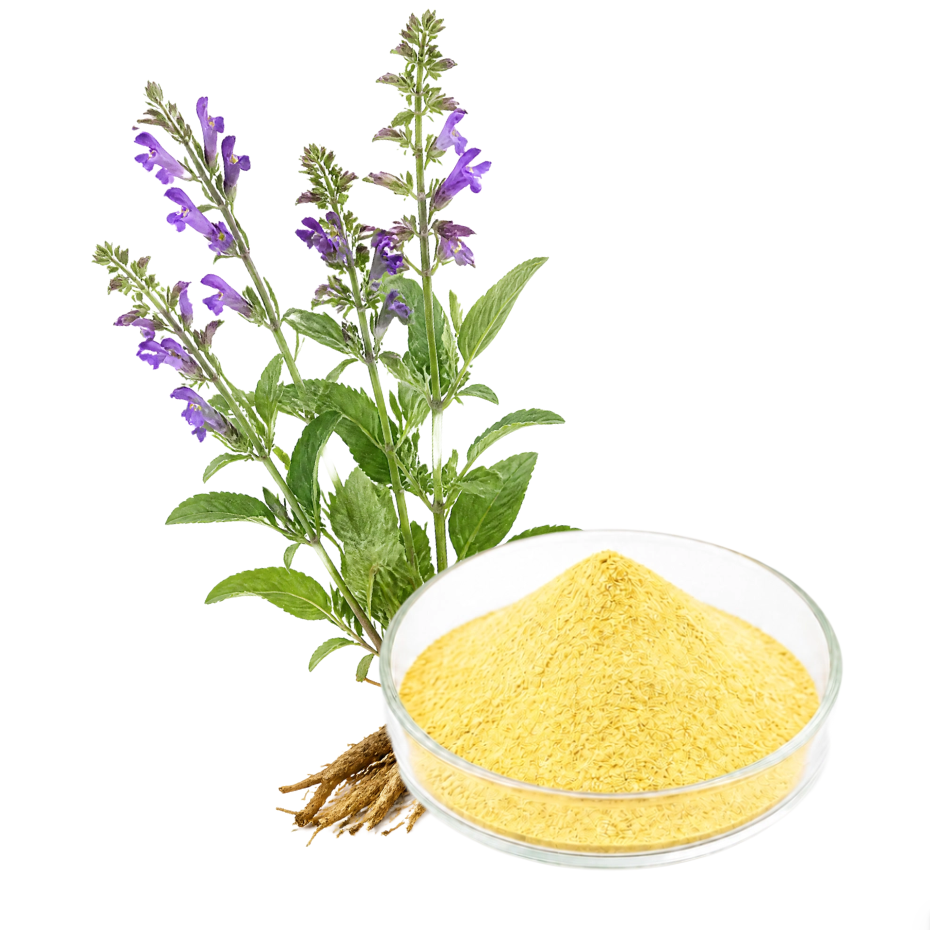 SCUTELLARIA EXTRACT