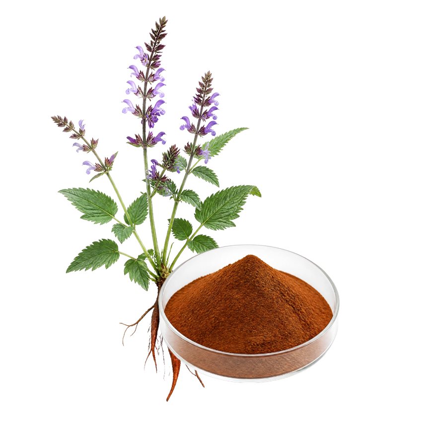 SALVIA MILTIORRHIZA AQUEOUS EXTRCT