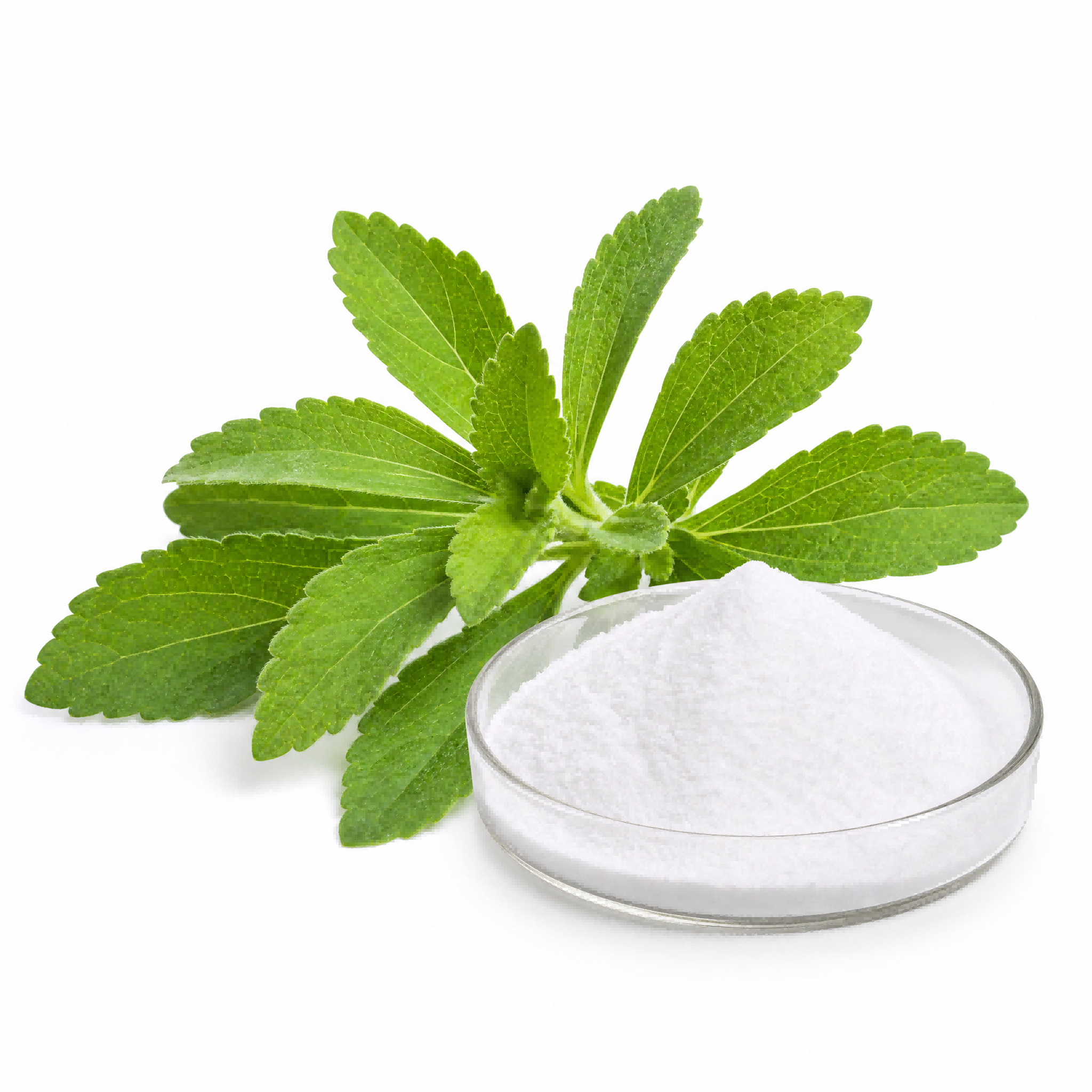 STEVIOL GLYCOSIDES