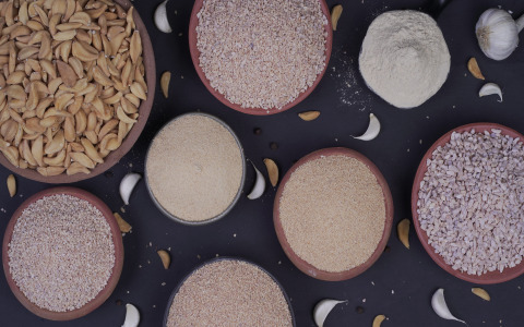 Dehydrated Garlic Products