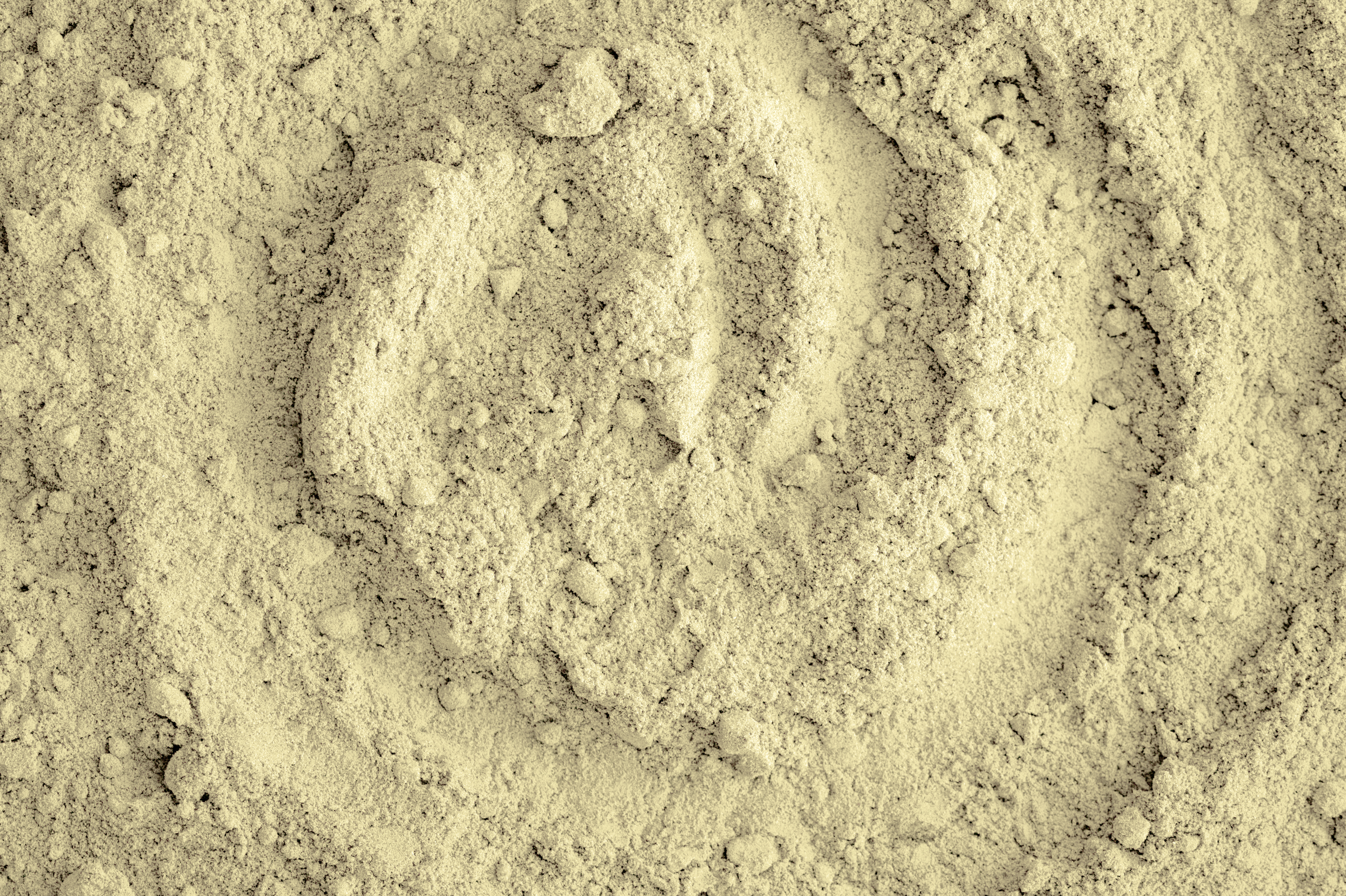 Nuverta Pea Protein Concentrate Neutral Taste