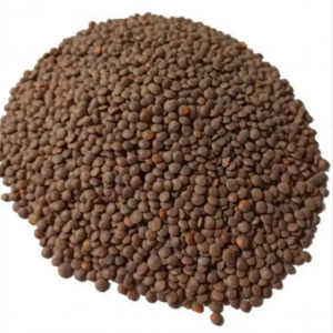 BROWN LENTIL