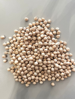 CHICKPEA