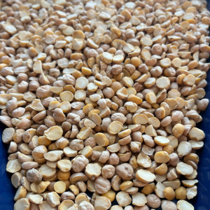 BROKEN CHICKPEA