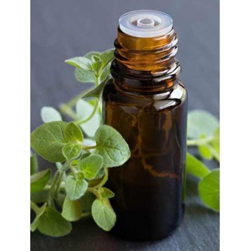 GREEK OREGANO ESSENTIAL OIL