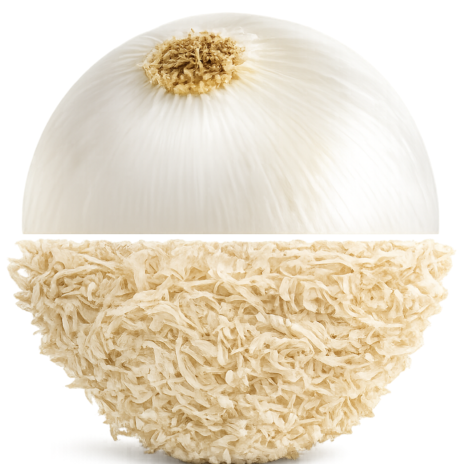 Dehydrated Onion (White/Pink/Red)