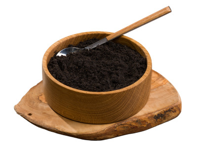 Vanilla Seeds
