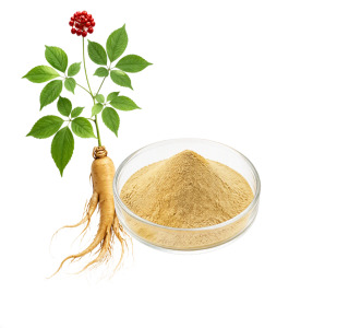 GINSENG EXTRACT