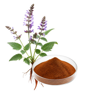 SALVIA MILTIORRHIZA AQUEOUS EXTRCT