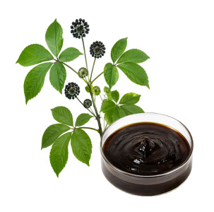 ACANTHOPANAX EXTRACT