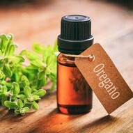 Oregano essential oil