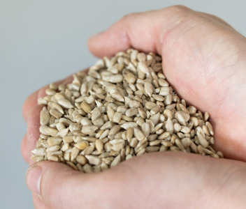 Organic Sunflower Kernels - Geschälte Bio Sonnenblumenkerne