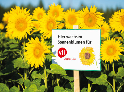Sunflower Oil - Sonnenblumenöl