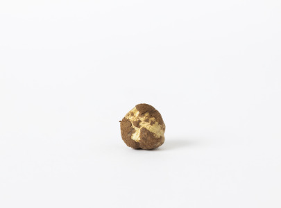 Raw Hazelnut Kernels
