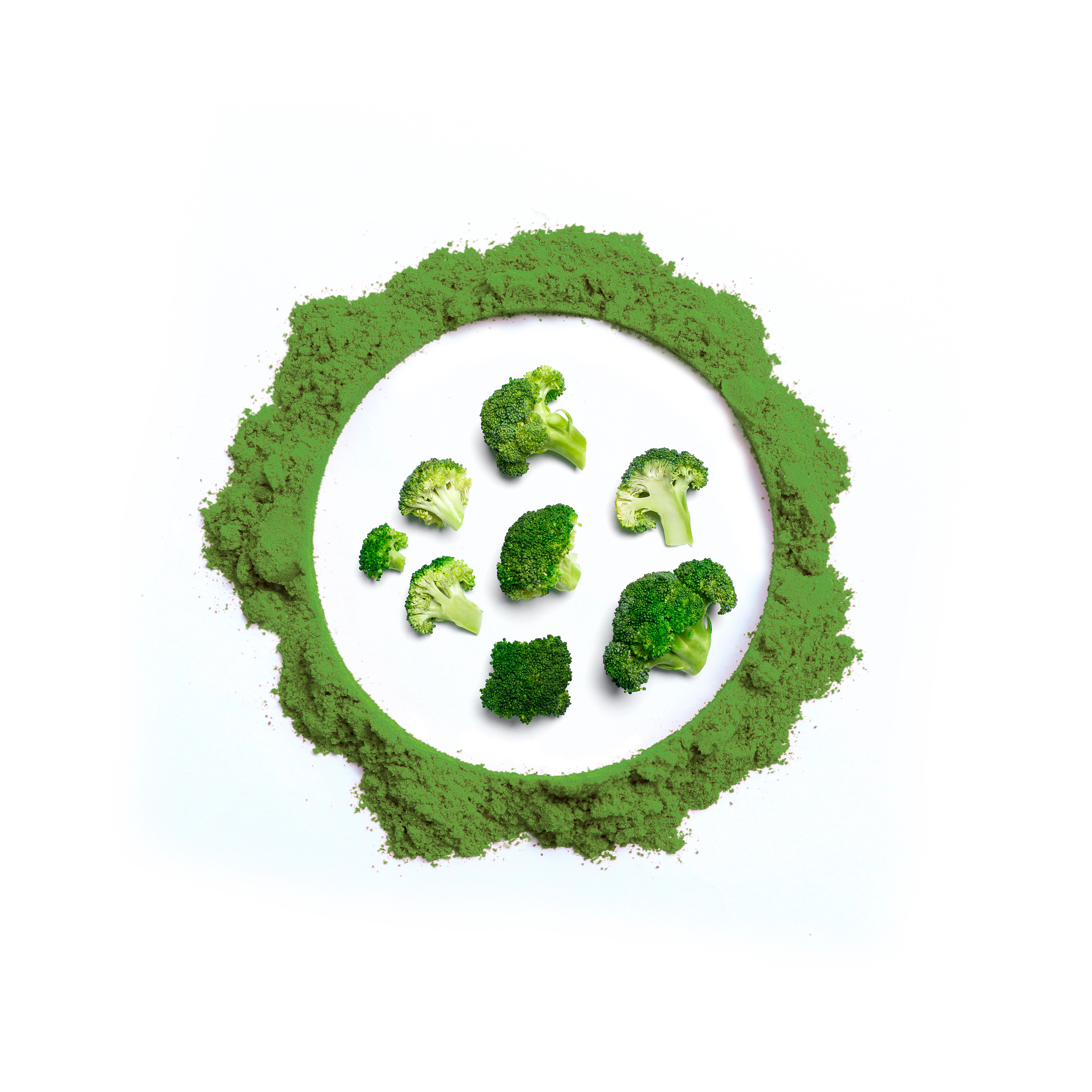 Broccoli Newtra Powder