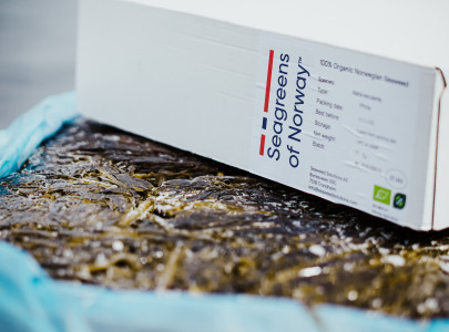 Cultivated Organic Seaweed