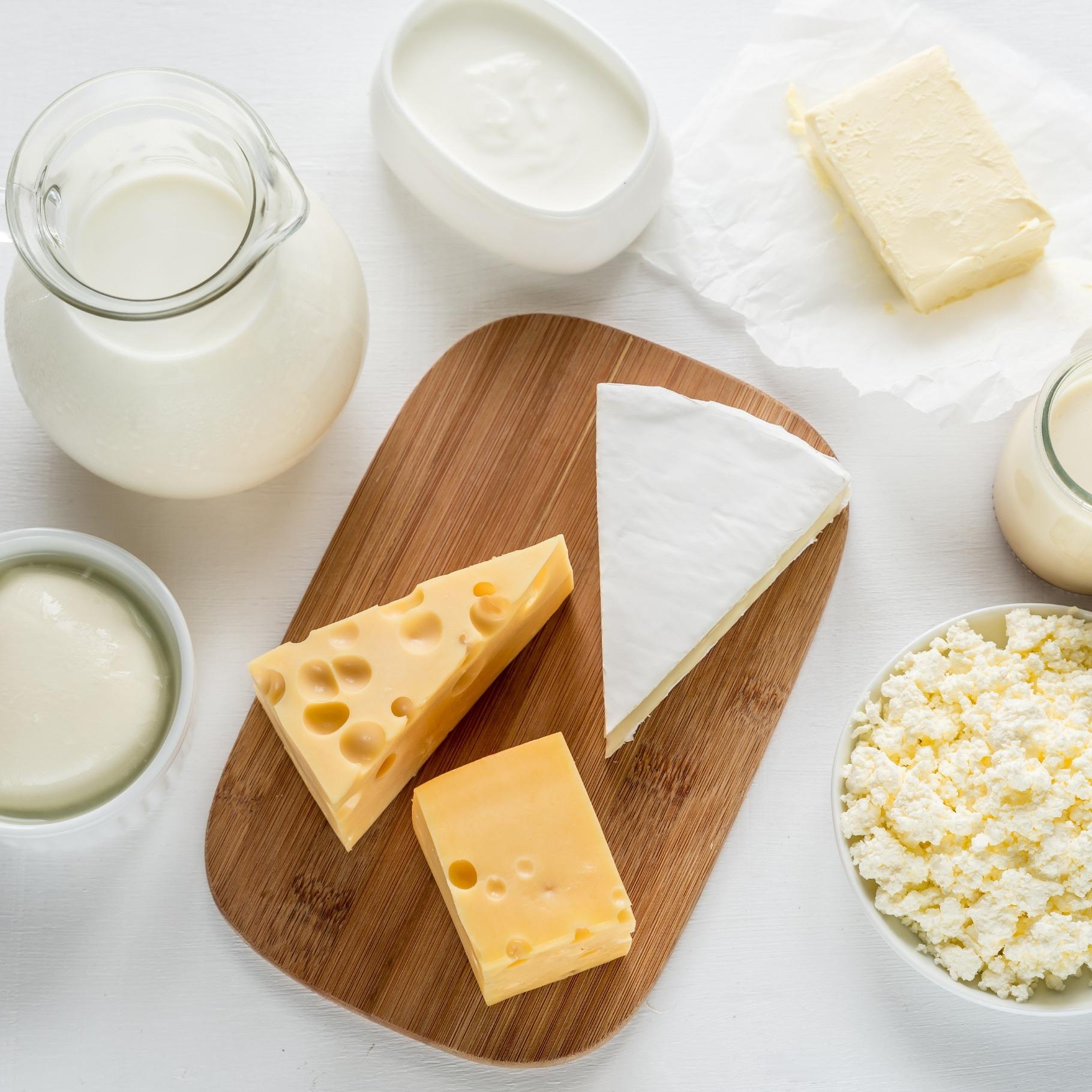 Carrageenan for Dairy Products – Stabilizing Solutions